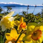 Bariloche Patagonia Reserves Center