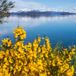 San Martín de los Andes: la joya de los Andes patagónicos